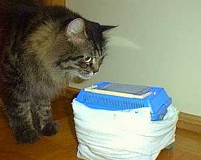 �N���N���E�E�E�Ȃɂ���H