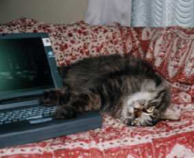 �p�\�R����������