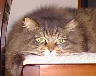 �ڂց[���Ƃ��Ă܂�